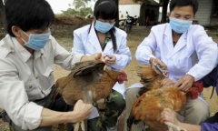 Tin thời sự mới nóng nhất 27/2: Cúm A/H5N1 gây chết người, yêu cầu