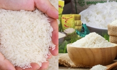 Giá gạo xuất khẩu Việt Nam trụ vững vị trí cao nhất thế giới