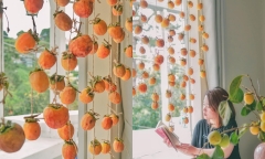 Dàn hồng treo gió thơ mộng, càng ngắm càng mê của người vợ Sài Gòn 