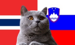 Nhận định soi kèo trận Na Uy vs Slovenia, Nations League 1h45 ngày 11/10: Mèo tiên tri bênh Haaland