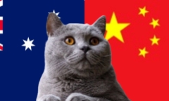 Nhận định soi kèo trận Australia vs Trung Quốc, 16h10 ngày 10/10: Mèo tiên tri chọn chân lý
