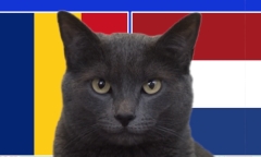 Thần đồng 17 tuổi Lamine Yamal vô tình làm lộ hình ảnh nhảy cảm của đồng đội