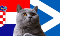 Nhận định soi kèo trận Croatia vs Scotland, Nations League 23h ngày 12/10: Mèo tiên tri thích “Caro”