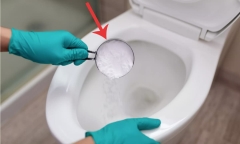 Dùng bột giặt để cọ bồn cầu có nên không?