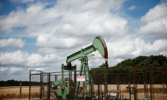 Công ty cổ phần Bất động sản Greenwich bị xử phạt