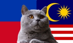  Nhận định soi kèo trận Malaysia vs Philippines, 19h ngày 4/9: Chú mèo tiên tri chọn Harimau