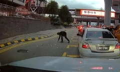 Clip: Dòng người ồ ạt lao ra nhặt tiền rơi trên đường và cái kết