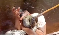 Clip: Bị trăn khổng lồ siết nghẹt, người đàn ông dùng răng 