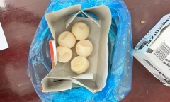Mua trứng rùa biển trái phép, mẹ chồng nàng dâu bị phạt hơn 1 tỷ đồng
