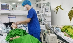 Nguy kịch sau bữa ăn trưa từ loại rau 