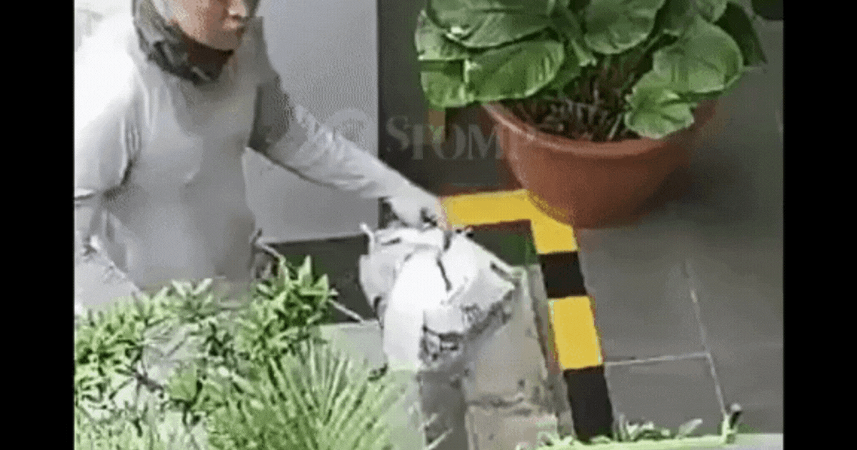 Đặt đồ ăn online nhưng thấy dấu hiệu lạ, cô gái kiểm tra camera phát hiện hành vi phẫn nộ của tài xế