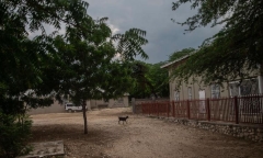Băng đảng bắt cóc công dân Mỹ và Canada ở Haiti đòi 17 triệu USD tiền chuộc