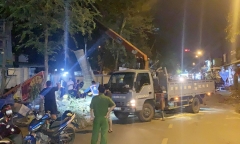 Vụ cây xanh bật gốc đè 2 mẹ con ở TP.HCM: Sự việc xảy ra trong chớp mắt, ai cũng sợ hãi