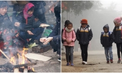 Thủ tướng yêu cầu các bộ ngành, địa phương chủ động phòng, chống rét đậm, rét hại 