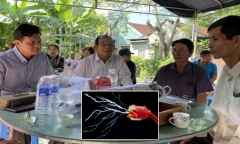 Học sinh lớp 1 ở Bình Định bị điện giật tử vong thương tâm
