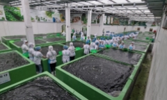 Phát triển nông sản địa phương và bài toán nâng tầm nông sản Việt