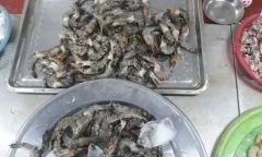 Mua tôm tươi, tá hỏa phát hiện 
