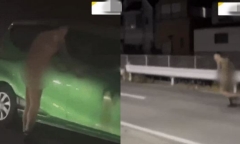 Người đàn ông không mảnh vải che thân gây náo loạn trung tâm luyện thi và cái kết bất ngờ