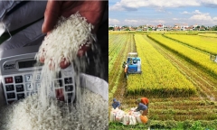 Nguồn cung lương thực dự trữ quốc gia sẵn sàng ứng phó kịp thời tình huống cấp bách