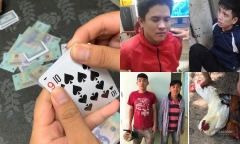 Tin tức an ninh hình sự 7/1: Khởi tố 3 cán bộ kiểm lâm tham gia đánh bạc
