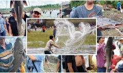 Hồ Trị An xả tràn, người dân nô nức đi săn 