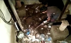 Kiểm tra thang máy ngừng hoạt động sau 24 năm, kỹ sư hoảng sợ tột độ khi thấy thứ bên trong
