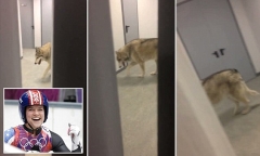 8 mỹ nhân nóng bỏng nhất Olympic mùa đông 2014