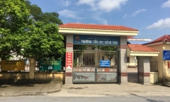 Hải Phòng: Đánh học sinh lớp 1, cô giáo bị tạm đình chỉ việc đứng lớp