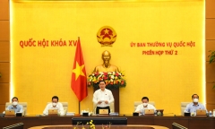 UBTVQH xem xét, quyết định miễn, giảm thuế; phê chuẩn bổ nhiệm nhân sự