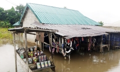 Mưa lũ lịch sử ở Nigeria, hơn 600 người thiệt mạng