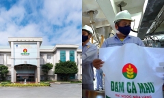 Đạm Cà Mau (DCM): Lợi nhuận quý III/2023 giảm 90%, có hơn 7.500 tỷ đồng gửi ngân hàng