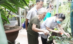 Nhận định của chuyên gia về diễn biến sốt xuất huyết ở Hà Nội?