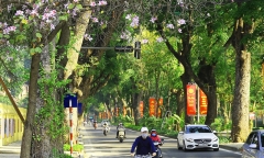Tin tức dự báo thời tiết hôm nay 27/2: Miền Bắc trời rét, ngày nắng, đêm không mưa