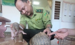 2 con vật 