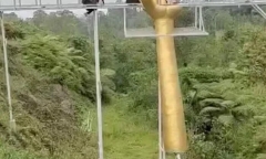 Indonesia: 1 du khách tử vong, 3 người bị thương do vỡ cầu kính ở rừng thông