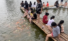 Concert BlackPink tại Việt Nam, tràn ngập bài đăng bán lại vé với mức giá “trên trời”