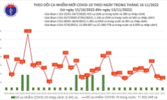 Bản tin COVID-19 ngày 13/11: Việt Nam ghi nhận 242 ca mắc mới, thấp nhất trong tuần