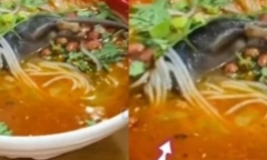 Phát hiện con chuột chết nguyên lông trong bát bún, chủ quán nói lý do khó tin