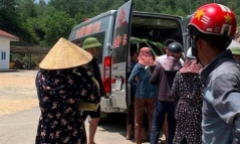 Hà Tĩnh: Vào rừng lấy mật, người đàn ông bị ong đốt tử vong