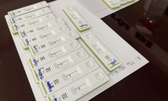 TP.HCM đề nghị bộ Y tế cấp mã số cho người test nhanh dương tính