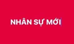 Thủ tướng phê chuẩn Chủ tịch, Phó Chủ tịch UBND 15 tỉnh