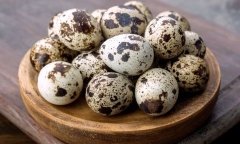 Bất ngờ trước những lợi ích của thực phẩm được mệnh danh “nhân sâm từ động vật