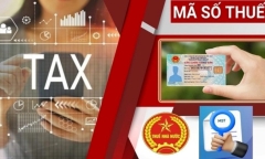 Thuế TP.Hà Nội có thông báo quan trọng về mã số thuế cá nhân