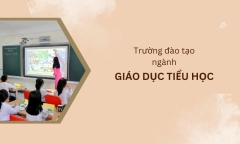 Các trường tuyển sinh ngành giáo dục tiểu học