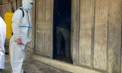 Thực hư thông tin TP.HCM xuất hiện ca bệnh bạch hầu