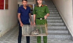 Tin tức thời sự 24h: Người dân giao nộp con vật quý hiếm