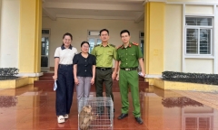 Tin tức thời sự 24h: Người dân giao nộp khỉ vàng quý hiếm cho công an
