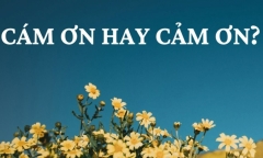 “Cám ơn” hay “cảm ơn” mới đúng chính tả?