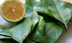 Lá chanh có tác dụng gì? Đọc ngay để biết những thông tin hữu ích nhất