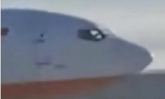 Vụ tai nạn máy bay chở 181 người ở Hàn Quốc: Hộp đen ngừng ghi dữ liệu 4 phút cuối 